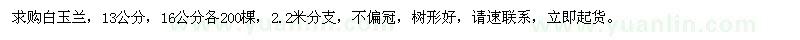 求購13、16公分白玉蘭