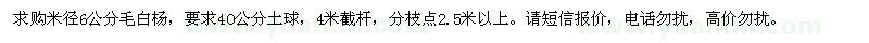 求購米徑6公分毛白楊