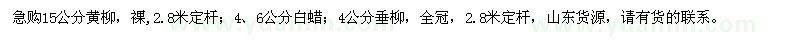 求購黃柳、白蠟、垂柳
