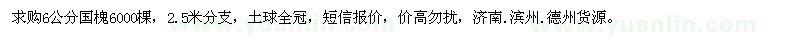 求購6公分國槐