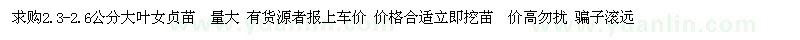 求購2.3-2.6公分大葉女貞苗