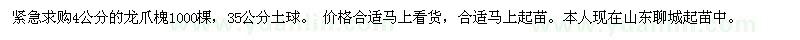 求購4公分龍爪槐