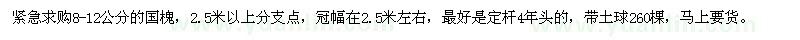 求購8-12公分國槐