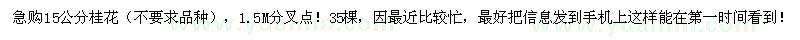 求購(gòu)15公分桂花 