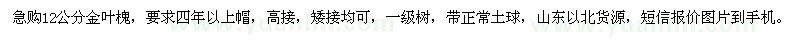 求購12公分金葉槐