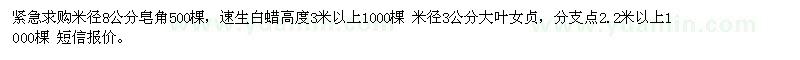 求購皂角、速生白蠟、大葉女貞