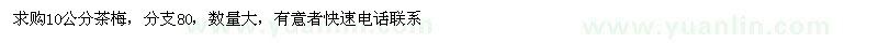 求購10公分茶梅