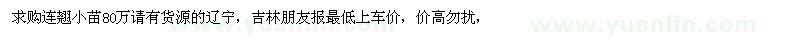 求購連翹小苗