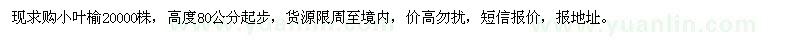 求購(gòu)高度80公分起步小葉榆