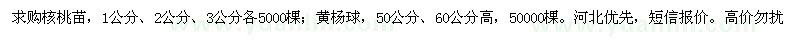 求購(gòu)核桃苗、黃楊球