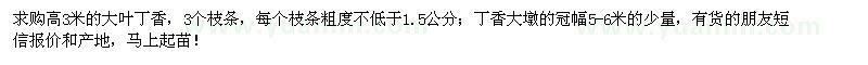 求購大葉丁香、丁香