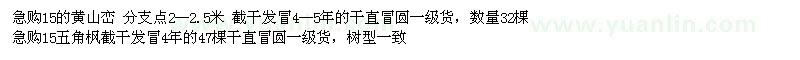 求購15公分黃山欒、五角楓