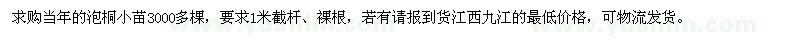 求購當年泡桐小苗