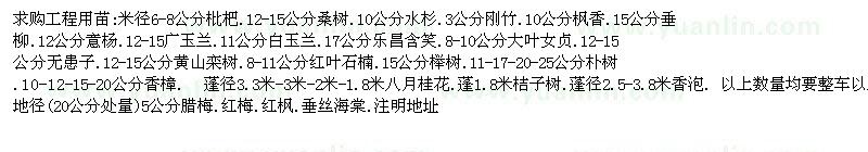 求購(gòu)枇杷、水杉、黃山欒樹(shù)、紅葉石楠等