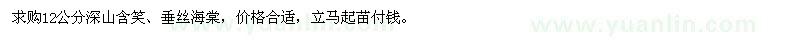求購12公分深山含笑、垂絲海棠 