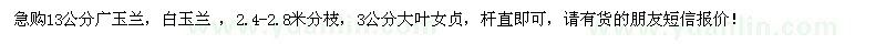 求購(gòu)胸徑13公分廣玉蘭、白玉蘭、3公分大葉女貞