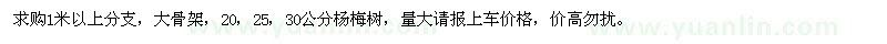 求購20、25、30公分楊梅樹