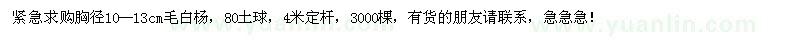 求購毛白楊