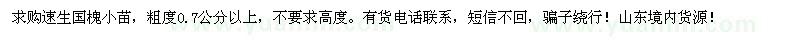 求購(gòu)速生國(guó)槐小苗