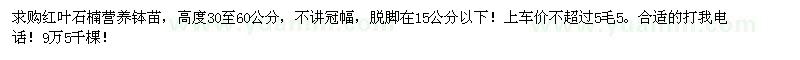 求購紅葉石楠