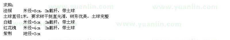 求購(gòu)法桐、柳樹(shù)