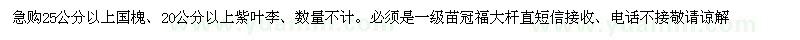 求購25公分以上國槐、20公分以上紫葉李