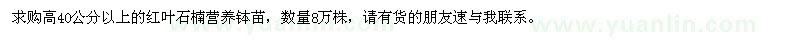 求購高40公分以上紅葉石楠營養(yǎng)缽苗