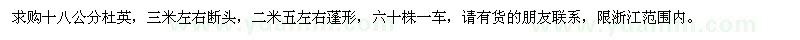 求購十八公分杜英