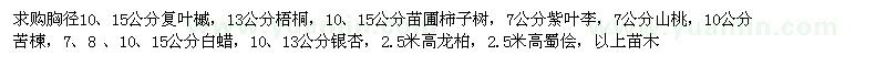 求購復(fù)葉槭、梧桐、柿子樹