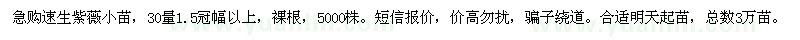 求購急速生紫薇小苗