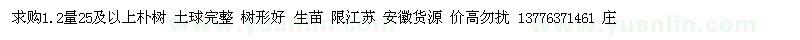 求購1.2量25及以上樸樹 