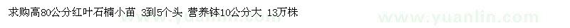 求購高80公分紅葉石楠小苗