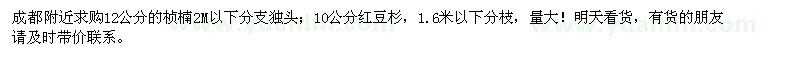 求購12公分楨楠、10公分紅豆杉
