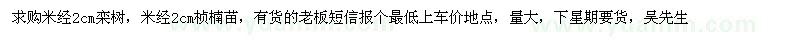 求購米經(jīng)2公分欒樹，米經(jīng)2公分楨楠苗