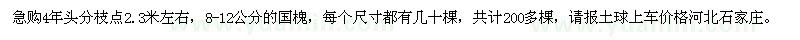 求購國槐
