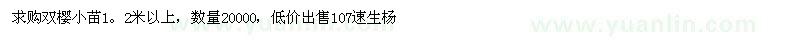 求購1.2米以上雙櫻小苗