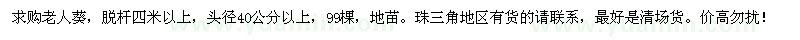 求購(gòu)老人葵