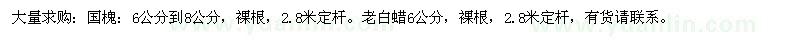 求購(gòu)國(guó)槐