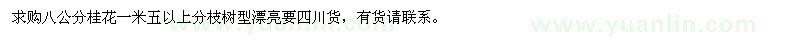 求購八公分桂花