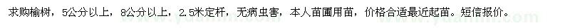 求購5公分和8公分榆樹