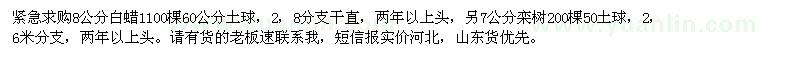 求購白蠟、欒樹