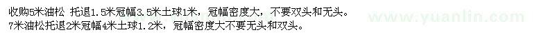 求購5、7米油松