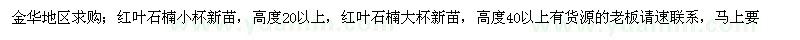 求購紅葉石楠