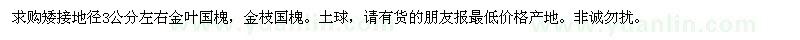 求購矮接金葉國槐金枝國槐