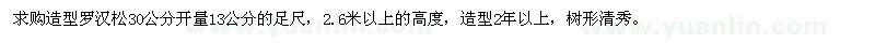 求購(gòu)羅漢松