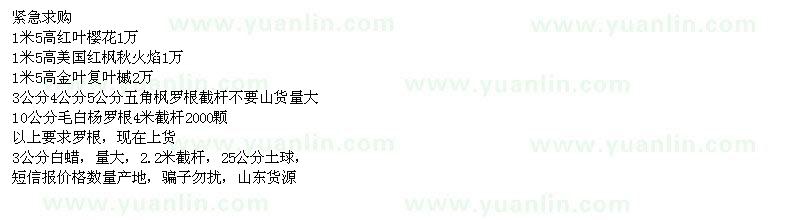 求購紅葉櫻花、五角楓、毛白楊等