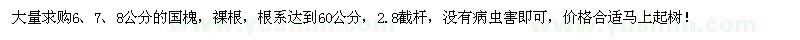 求購6、7、8公分國槐