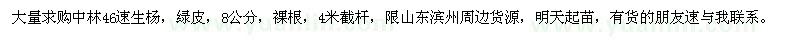 求購速生楊