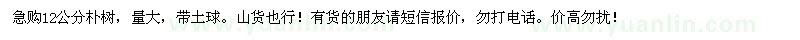 求購(gòu)12公分樸樹