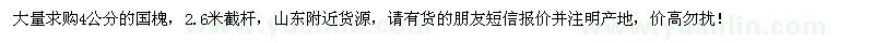 求購4公分國槐